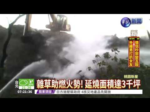 雜草助燃! 新屋綠色隧道竄火