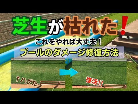 園芸 天然プールを造る