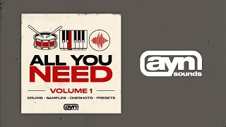 AYN Sounds - All You Need Vol. 1 Multi-Kit (Walkthrough)