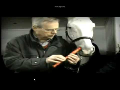 Croquinambourg - Horse plays flute.avi