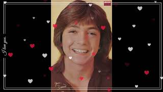 DAVID CASSIDY TRIBUTE-LOVE,LOVE THE LADY