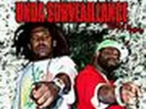 On Deck-Unda Surveillance