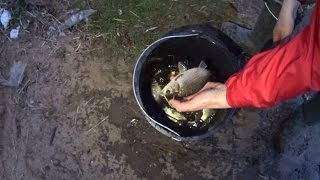 Где клюет карась в ивановской области