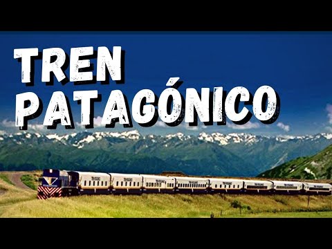 This is what it's like to travel to Bariloche by train in a sleeper car | Patagonian Train