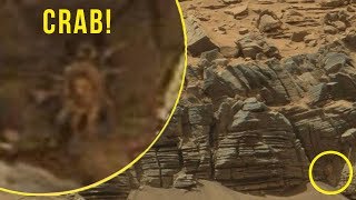 5 Strangest & Mysterious Things Caught By NASA On Mars!