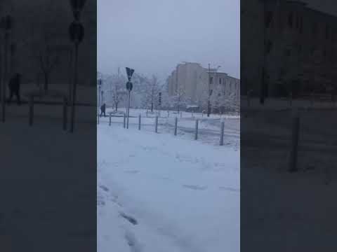 Forte nevicata sul Legnanese, 28 dicembre