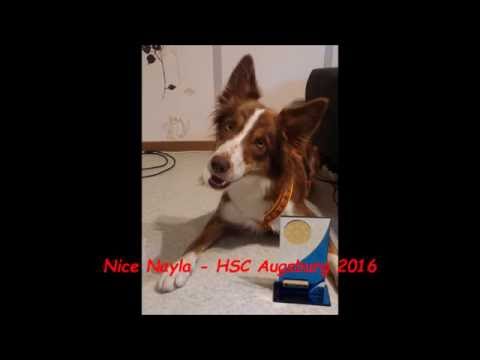 Nice Nayla Agility A2 1.Platz - Fuggerturnier 2016