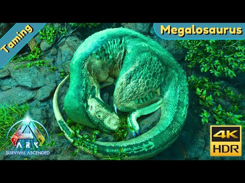 ARK Survival Ascended : Tame a Megalosaurus