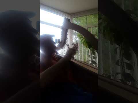 Bovaglie's Plaid on Clarsach