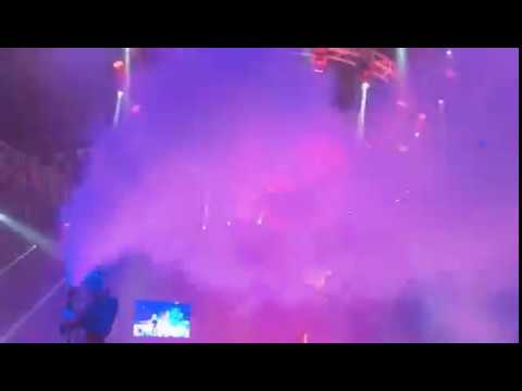 International Aerialist & Dancers Group