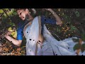 Myna Myna Whatsapp Status
