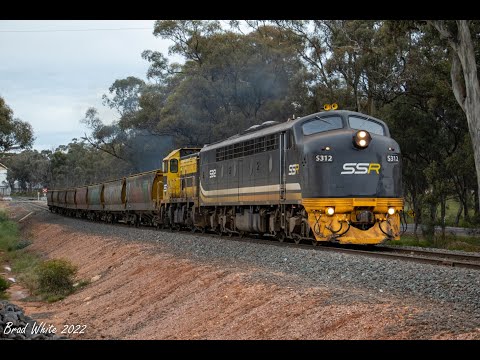 S312 and T381 on an eight wagon 9196 SSR grain at Llanelly- 30/10/22