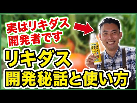 キャラクセス・ソロン