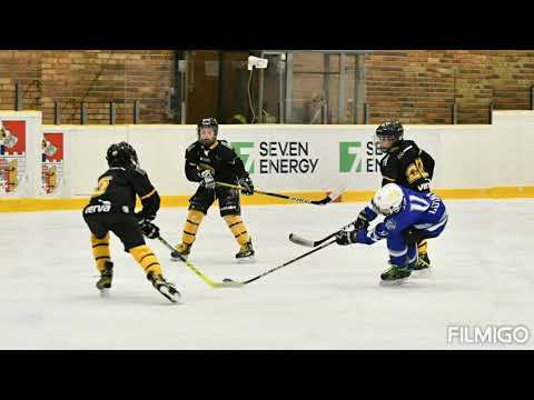 HC Verva  Litvínov  vs HC Slovan Louny