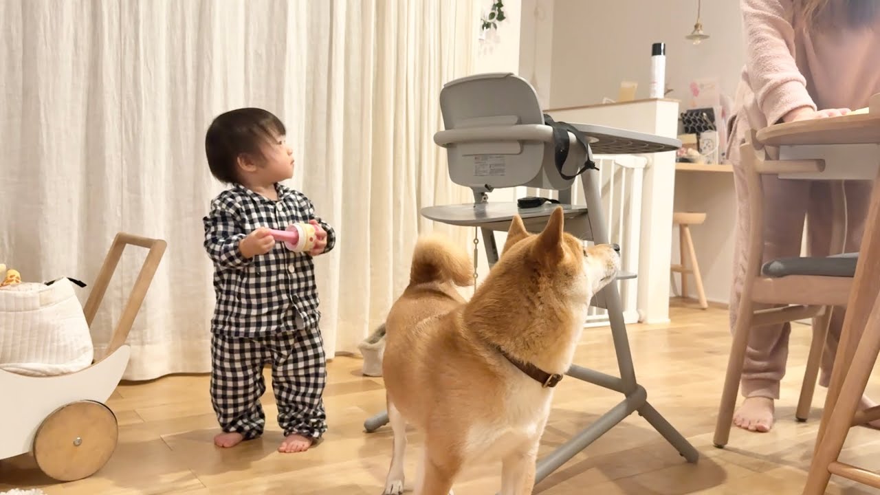 ちょっとクセのある1歳娘のおやすみルーティーン