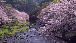 Always | Relaxing Music by Peder B. Helland