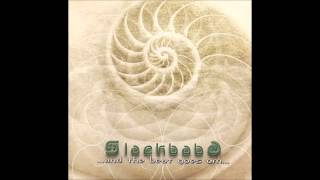 Slackbaba - A Drop In The Ocean