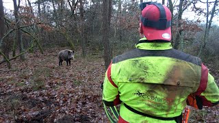 STARKE Keiler im Trieb! Drückjagd auf Sauen unter schwierigen Bedingungen (Drohne Jagd)
