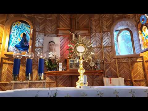 Spotkanie otwarte 19.11.2022 - Koronka do Bożego Miłosierdzia