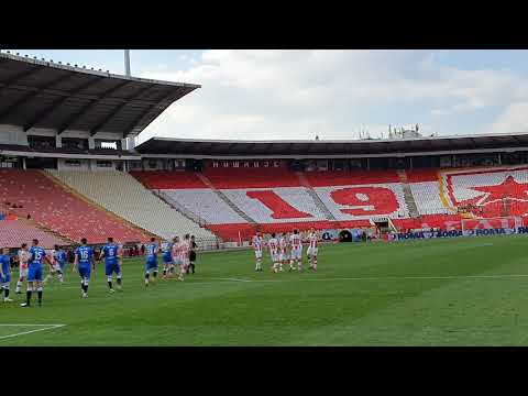Majstorija Aleksandra Kataija! / Crvena zvezda 2-0 IMT