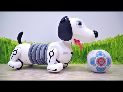 СОБАКА РОБОТ по кличке Дэкел от Silverlit - Распаковка ИГРУШКИ для детей