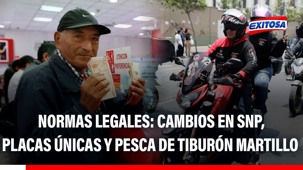 🔴🔵Normas legales 30 de diciembre: Cambios en SNP, placas únicas y pesca de Tiburón Martillo