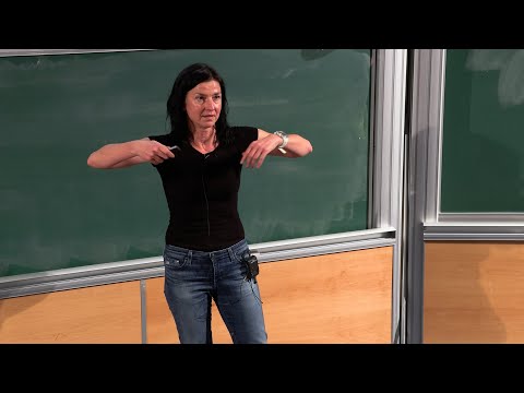 Mina Aganagic - Homological Mirror Symmetry and Quantum Link Invariants