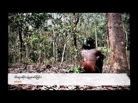 ဘီလူးဆိုင်းနဲ့ပူဇော်ခြင်း - လင်းလင်း