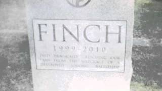 Hail To The Fire - Finch