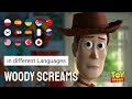 Woody Screams In Different Languages Meme