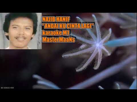 NAJIB HANIF   ANDAI KU CINTA LAGI KARAOKE MINUSONE