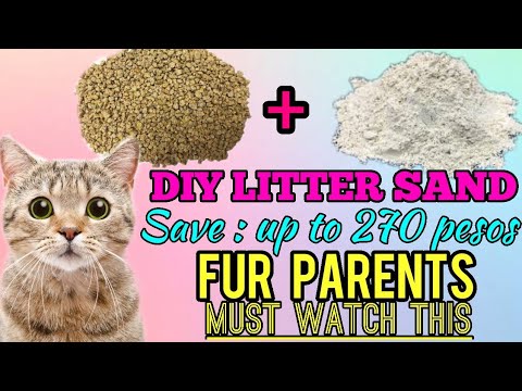 DIY LITTER SAND FOR CATS | LOW COST | TIPS HOW TO MAKE YOUR OWN LITTER SAND FOR YOUR CATS: TAGALOG