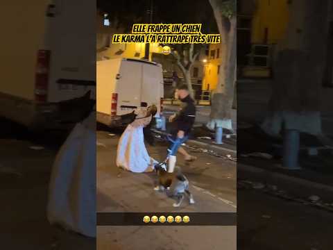 Elle frappe un chien et prend un karma en retour  #tiktok #humour #pittbull #karma #karen