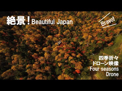 【新穂高ロープウェイ】絶景！新穂高ロープウェイの四季【2022年最新ver】