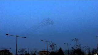 Caribou - Lalibela (Unofficial Video)