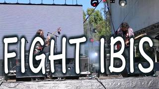 Fight Ibis @ The Big Pineapple Festival 2017