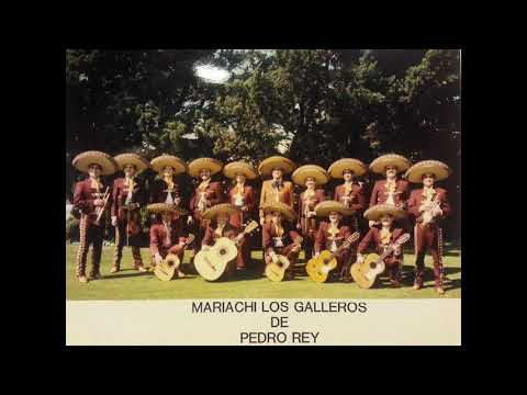 Mariachi Los Galleros de Pedro Rey - Te Doy La Libertad