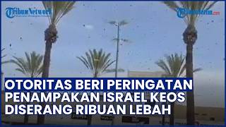 BAK KENA KARMA! Penampakan Israel Diserbu Jutaan Lebah, Otoritas Langsung Peringatan Darurat