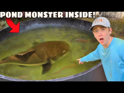 Watch I Found a MONSTER Living in My Pond! Video on