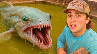I Found a MONSTER Living in My Pond!