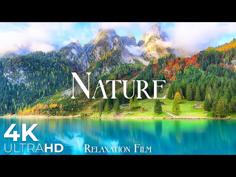 Nature Relaxation Film 4K • Beautiful Relaxing Music • Video Ultra HD