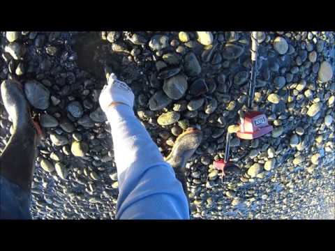 Testing Whites Coinmaster Metal Detector at the Beach