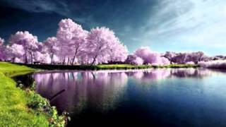 Sleater Kinney- I wanna be your Joey Ramone