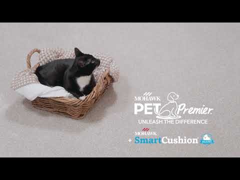 Built for Pets, Crafted for Comfort  |  PETPremier Carpet