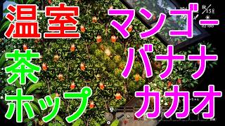 【ほの暮しの庭】マンゴー・カカオ・バナナの苗木・温室の中の畑の配置お茶ホップ攻略実況