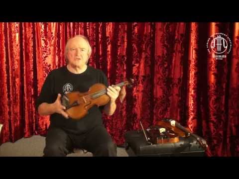 Gliga Violins Review - Dietrich Lasa from Animato Strings