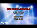 Bryan White - One Small Miracle (Karaoke)