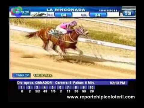 Resumen La Rinconada Sabado 15/01/2011