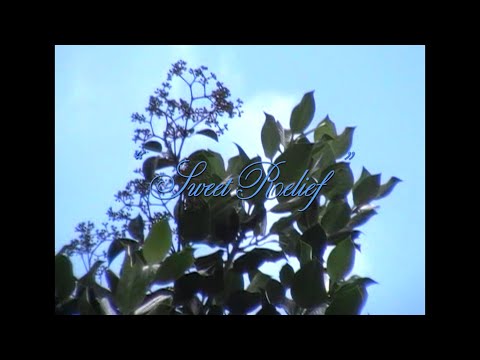 Nell Mescal - Sweet Relief (Official Visualiser)