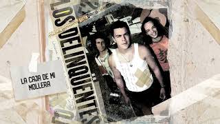 Los Delinqüentes - La caja de mi mollera - maqueta enero 2001 (Visualizer Oficial)